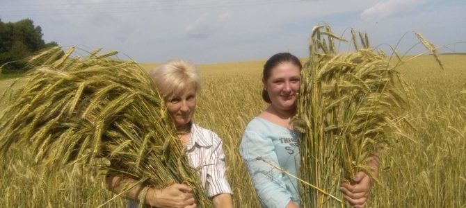 Заготовка природного материала Заготовка природного материала